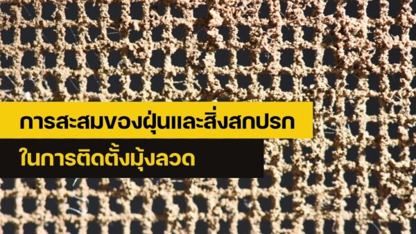 มุ้งลวด