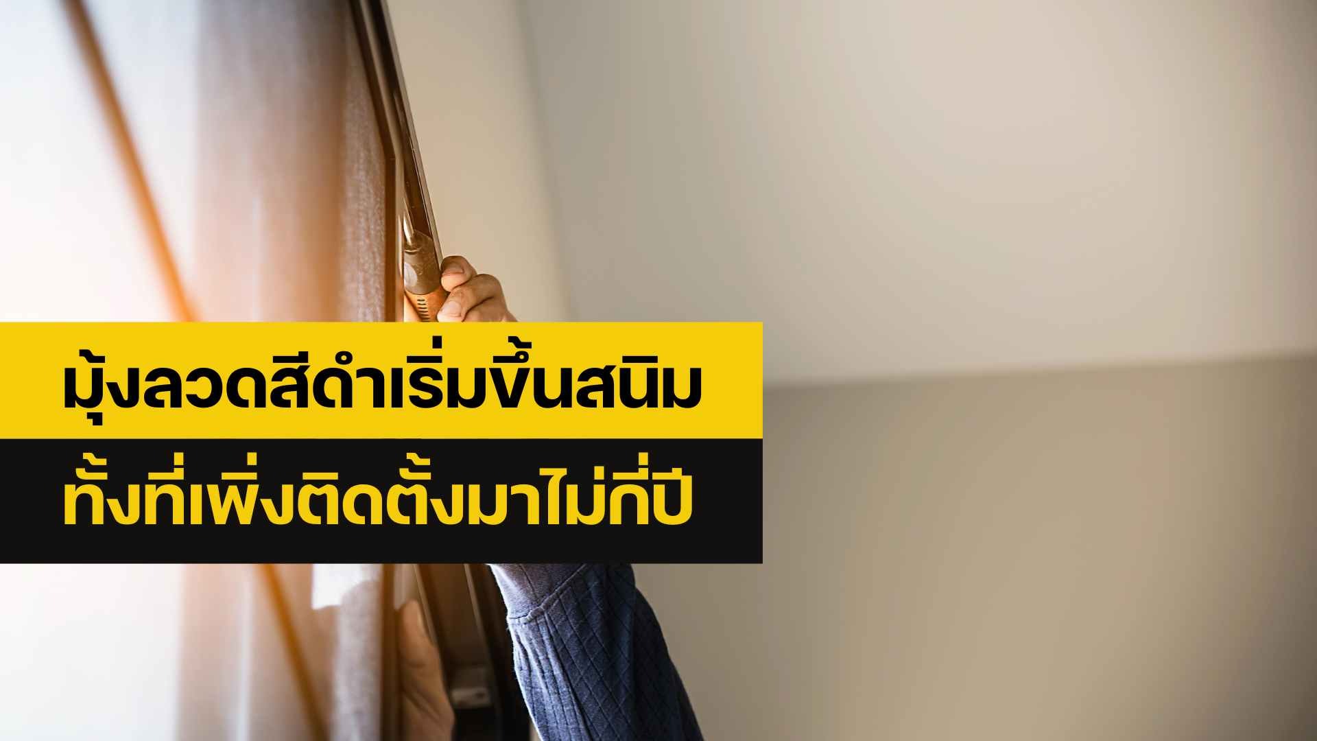 ซ่อมมุ้งลวด