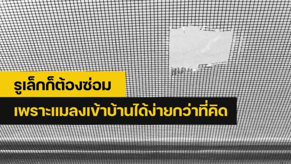 ซ่อมมุ้งลวด