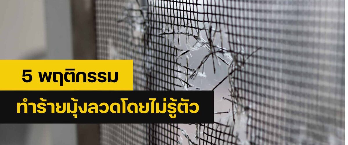 ซ่อมมุ้งลวด