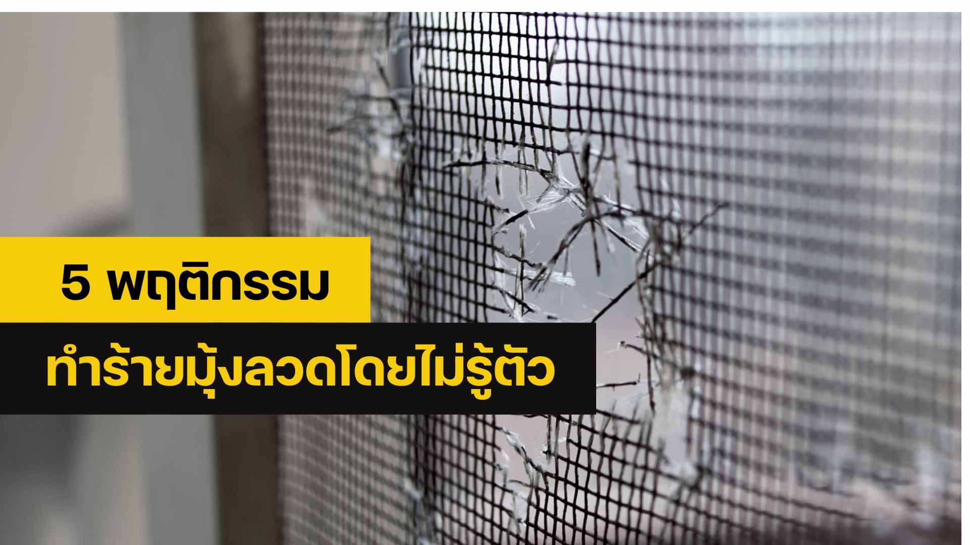 ซ่อมมุ้งลวด