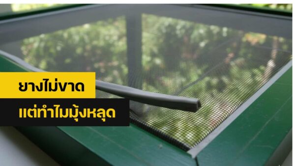 เปลี่ยนมุ้งลวด