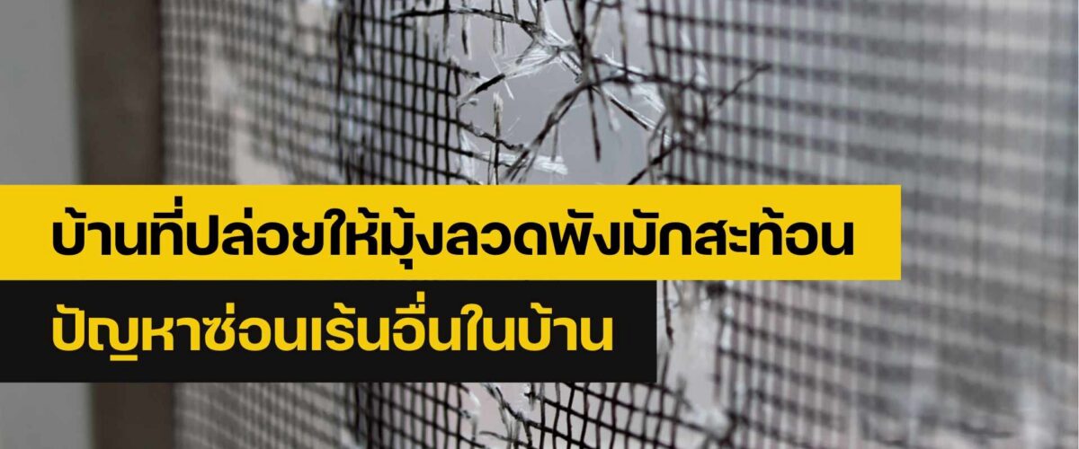 ซ่อมมุ้งลวด