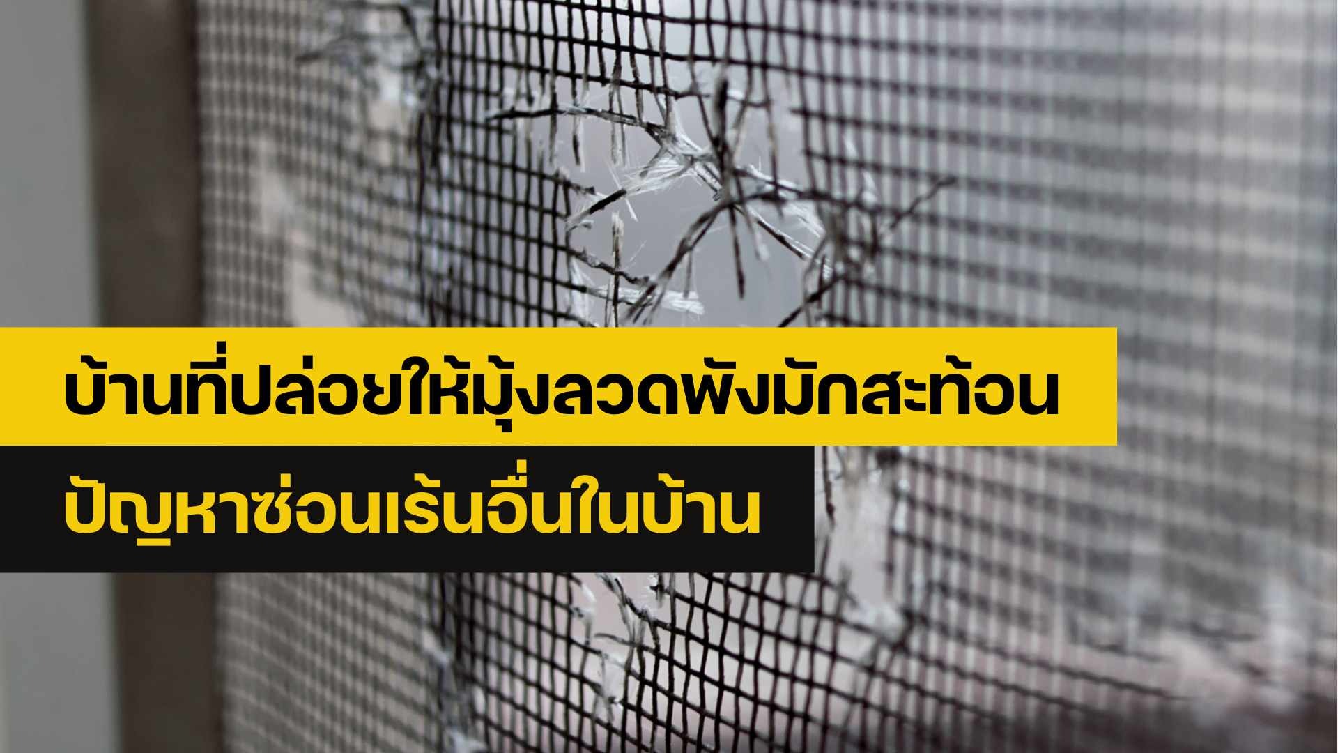 ซ่อมมุ้งลวด