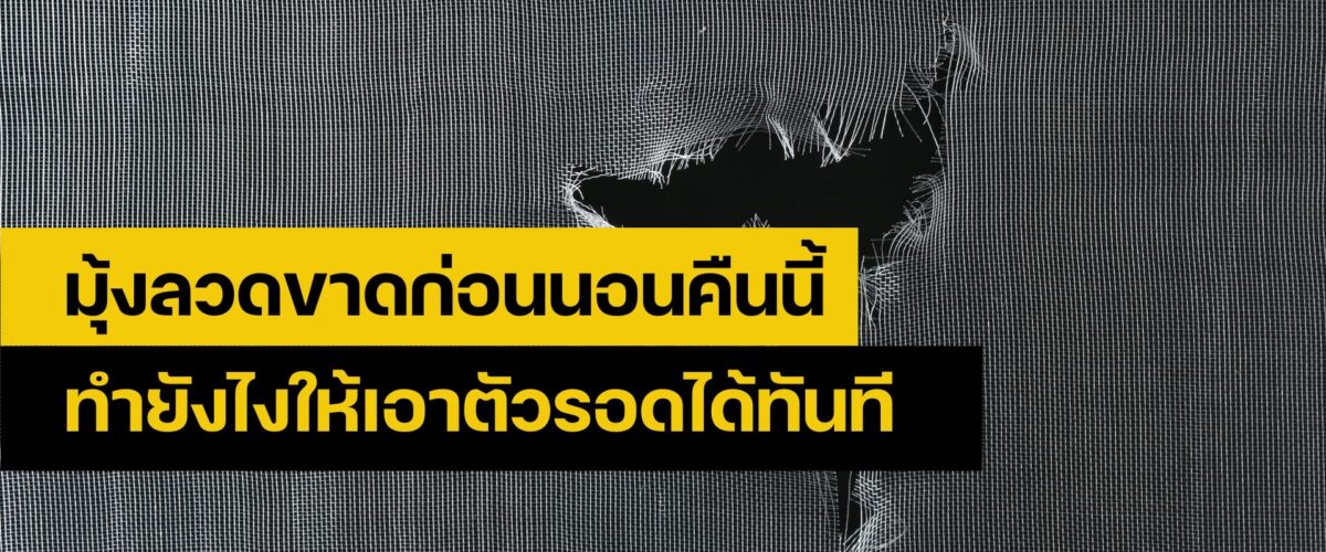 ซ่อมมุ้งลวด