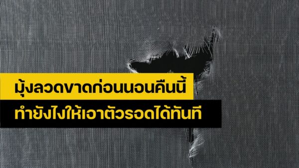 ซ่อมมุ้งลวด