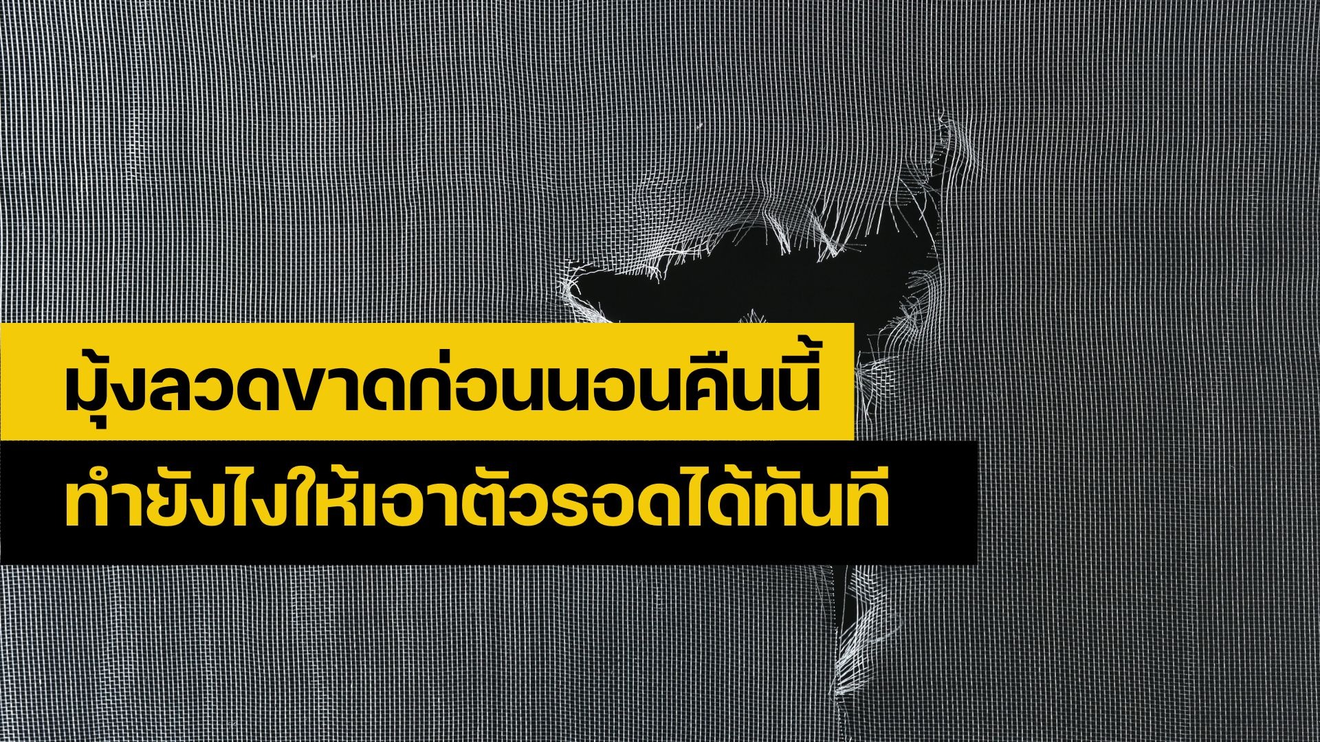 ซ่อมมุ้งลวด