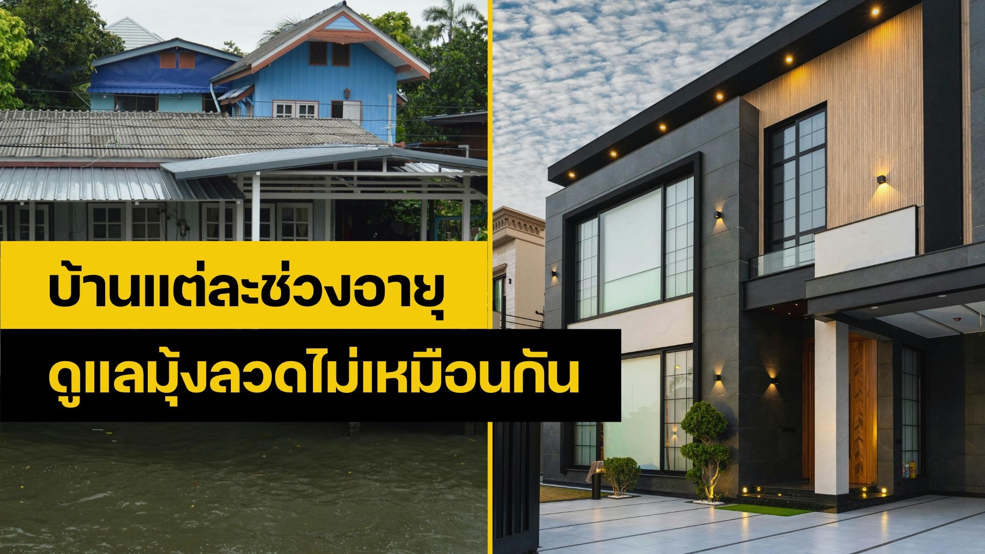 ซ่อมมุ้งลวด