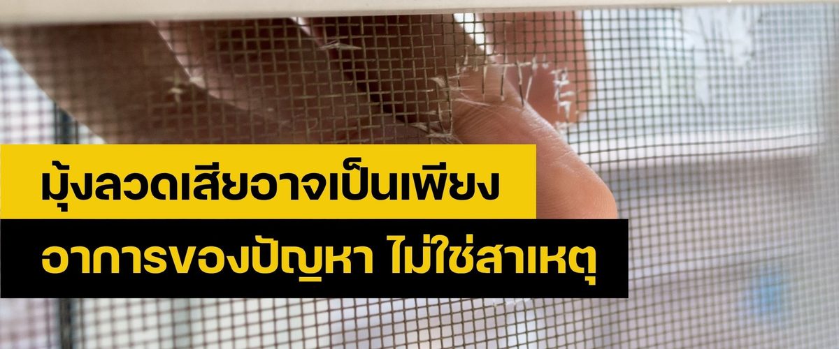 ซ่อมมุ้งลวด