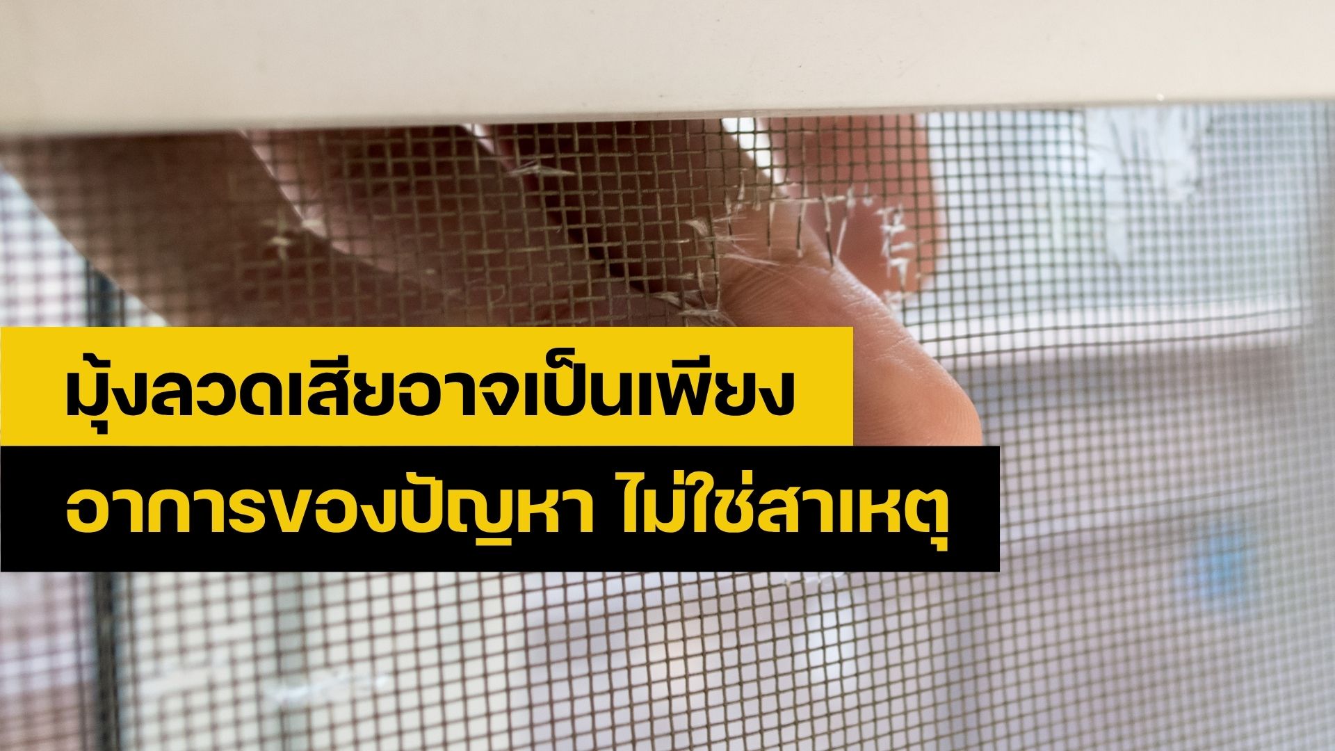 ซ่อมมุ้งลวด