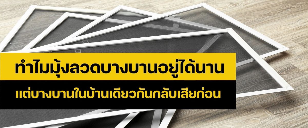 ซ่อมมุ้งลวด